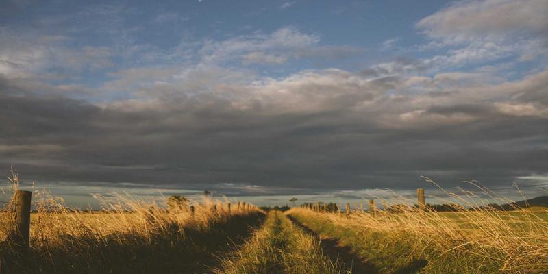 产后修复的医美方案：腹直肌修复、妊娠纹治疗与胸部塑形，重塑健康与自信