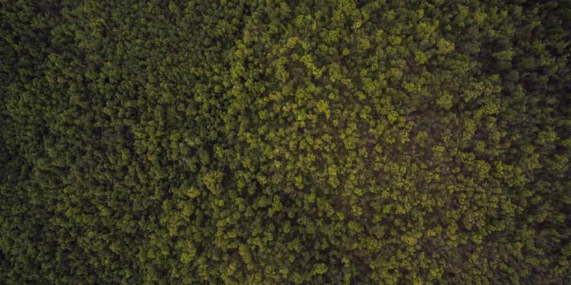 从爱奇艺美平台案例看微整形与整形外科的协同发展