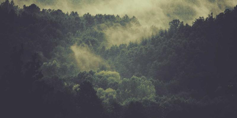 医疗美容45°：理性看待美容整形与抗衰老，解码爱奇艺美业新趋势