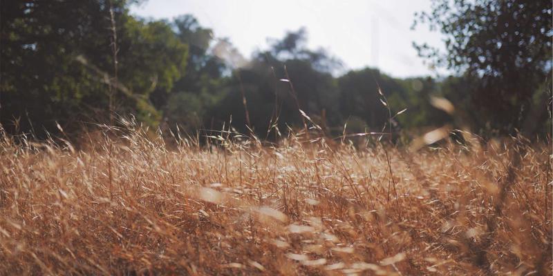 医疗美容70：抗衰老新纪元，科学解读医美与美容整形的健康蜕变