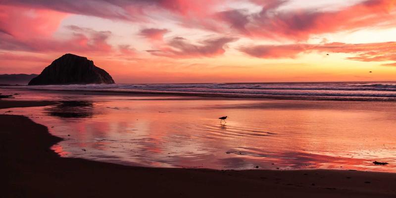 医疗美容入门指南：从爱奇艺美到微整形，开启科学变美之旅