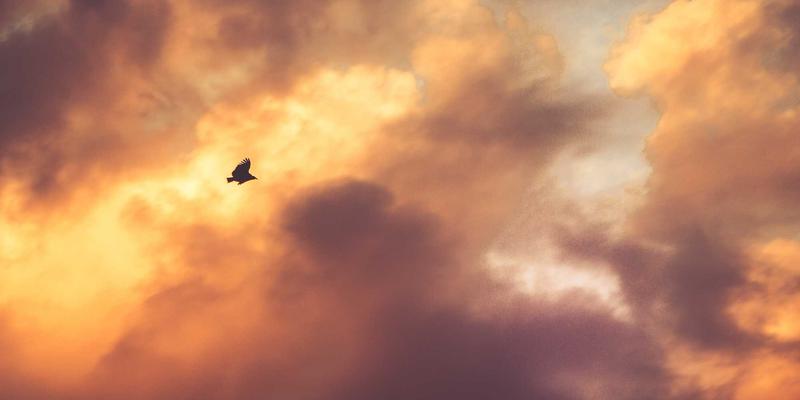 医疗美容全解析：从概念到实践，安全变美的科学指南