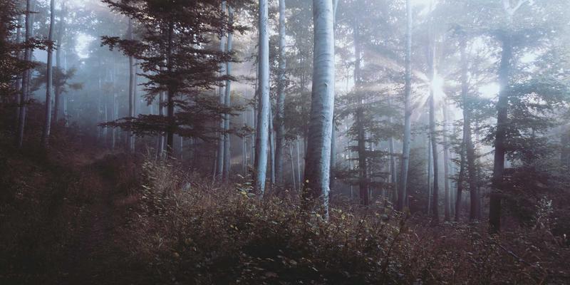 医疗美容抗衰老新趋势：从整形外科到综合年轻化方案