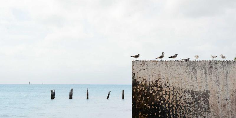 医疗美容新趋势：从皮肤管理到科技美肤，爱奇艺美如何引领行业变革