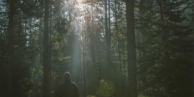 医疗美容新趋势:从美容整形到科技抗衰老,爱奇艺美如何重塑行业认知