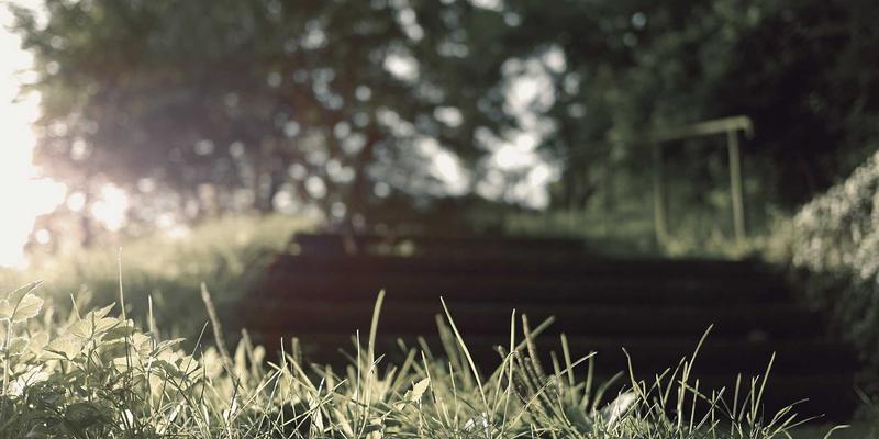 医疗美容新趋势：皮肤管理与整形外科的融合与边界