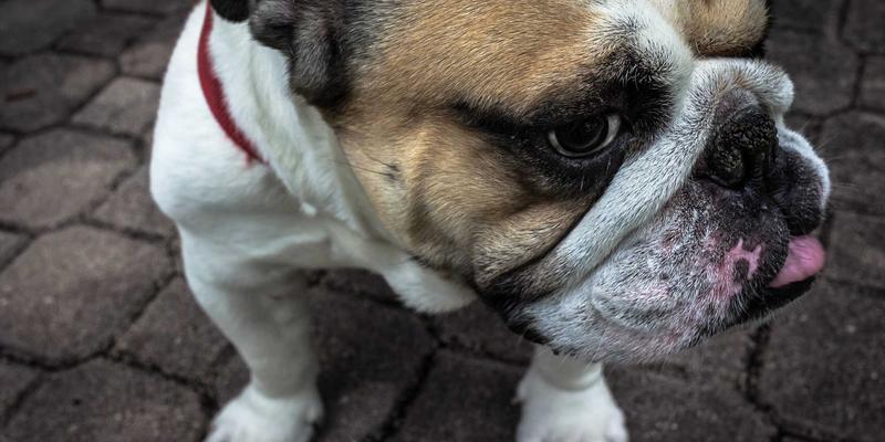 医美抗衰新趋势：科学解读微整形如何实现自然年轻态