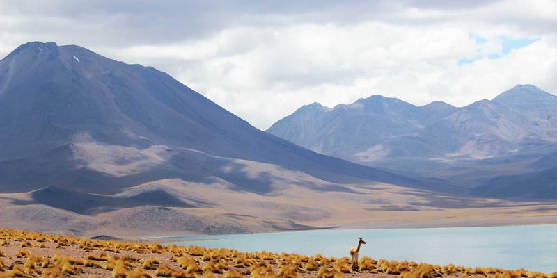 微整形与抗衰老热潮下的消费陷阱：警惕医疗美容贷款，爱奇艺美教你理性避坑