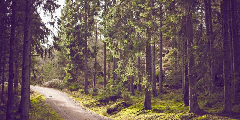 微整形与抗衰老:科学解读医疗美容的现代解决方案