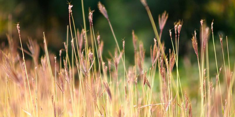 抗衰老与皮肤管理新纪元：VISIA、皮肤镜等科技如何实现医疗美容精准治疗