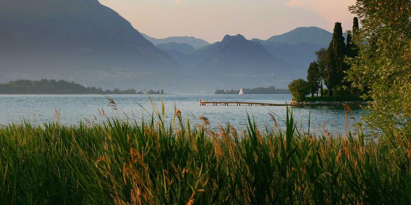 抗衰老新选择：深度解析玻尿酸与自体脂肪面部填充的优缺点及适用人群