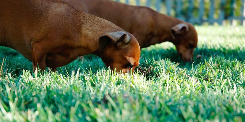 眼周年轻化综合治疗指南：微整形医美如何精准改善眼袋、泪沟与鱼尾纹