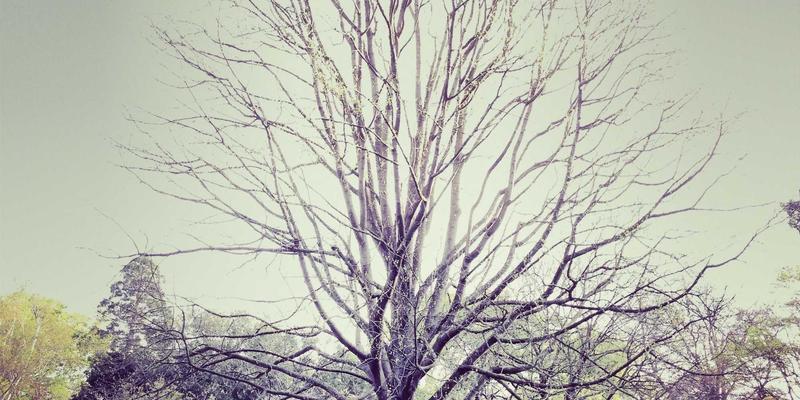 私密处年轻化医美：整形外科与爱奇艺美引领的医疗美容新趋势