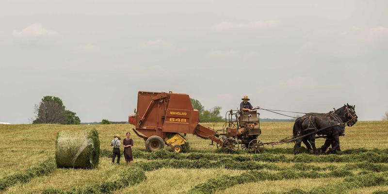 美容整形术后修复产品怎么选？从医用敷料到功效护肤品的安全搭配攻略 | 整形外科专家指南
